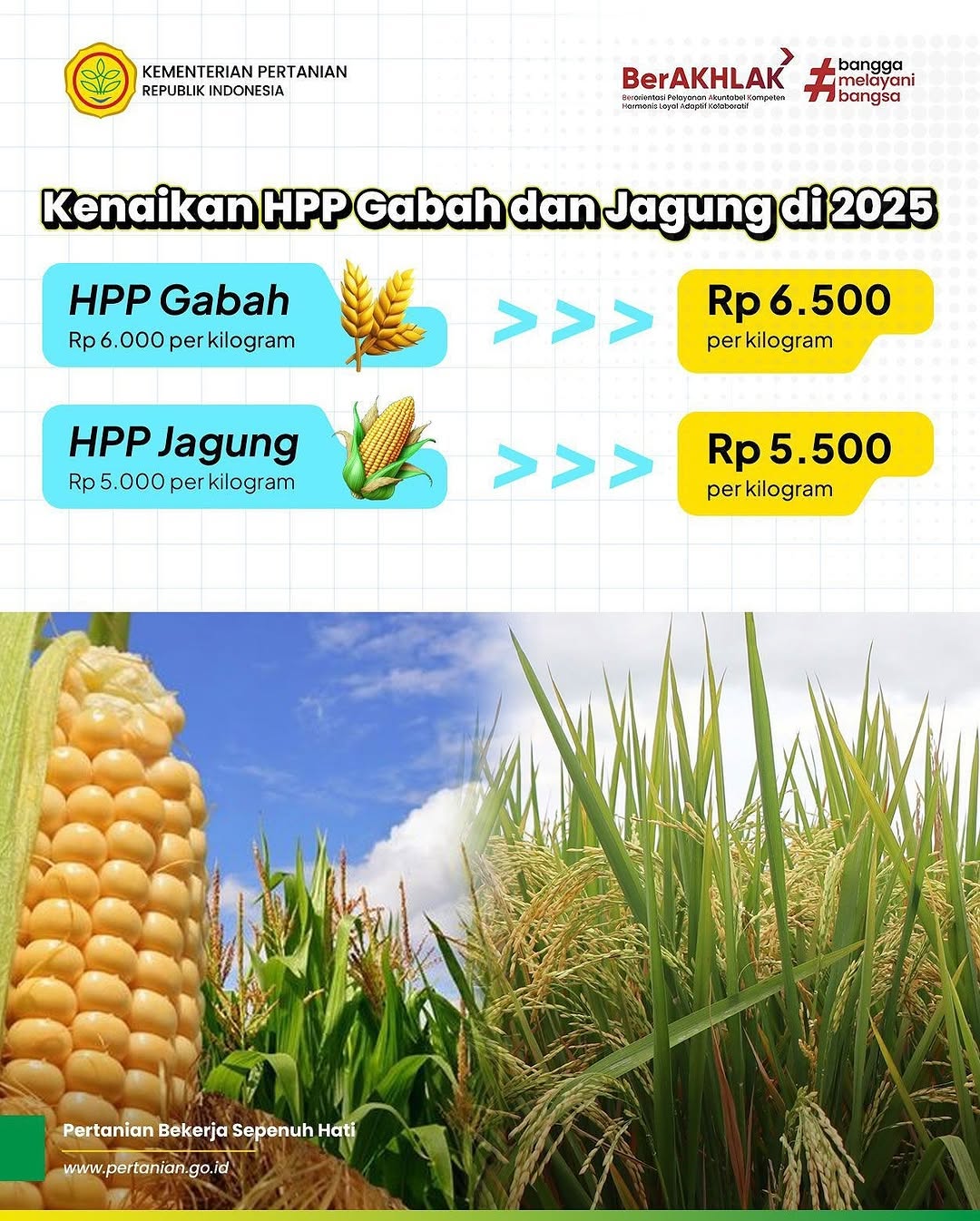 Harga Pembelian Pemerintah Gabah 2025 Rp. 6.500